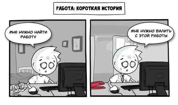 lsy54g1rnku.jpg