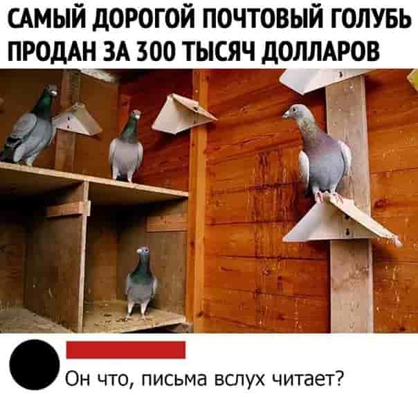 bwd_15qgsru.jpg