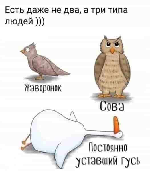 hrviucx3xqu.jpg