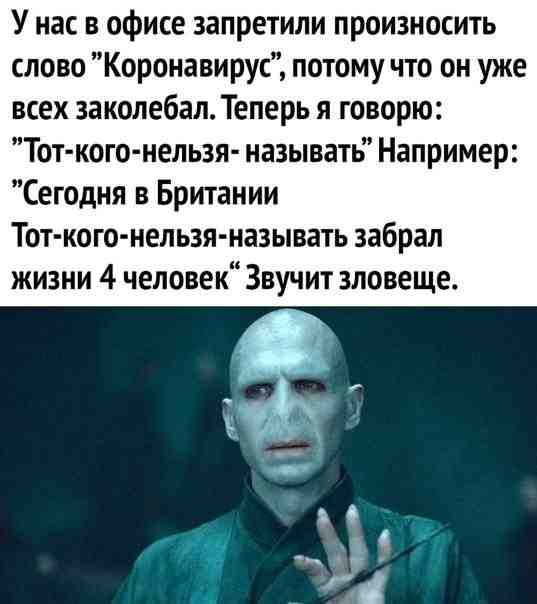 0lv9yzqnx0.jpg