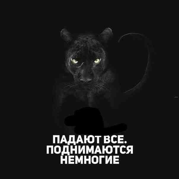 bqgjg_lmkcu.jpg