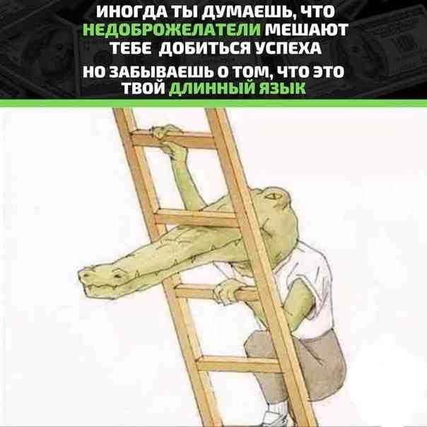 dtdzcdjoicw.jpg