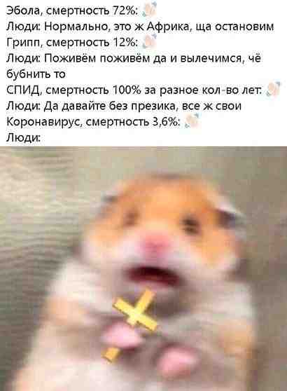 j-zlg6pbcqw.jpg