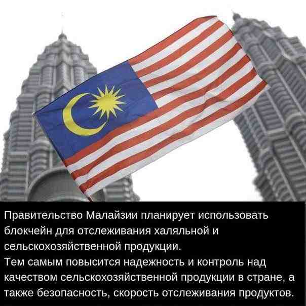 q33o7bls3ne.jpg