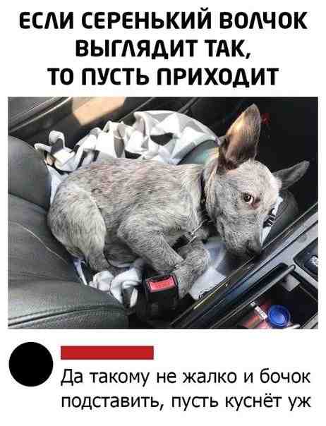 xwgqgwisw5q.jpg