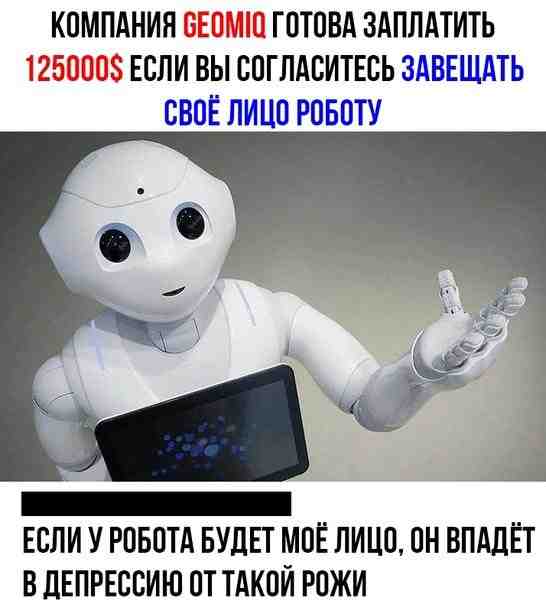 zyff01k82ck.jpg