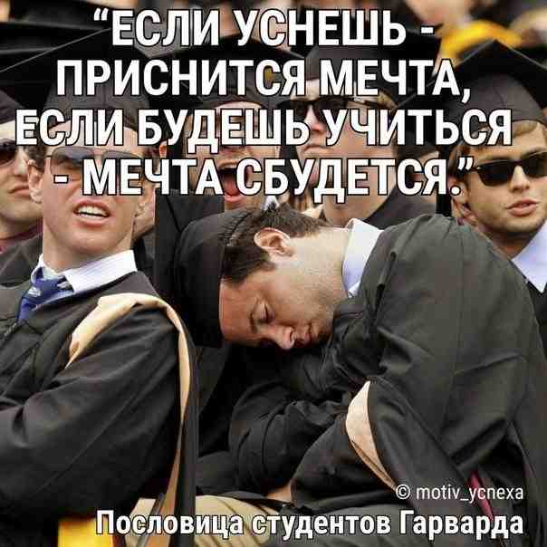 72lybc9nwyu.jpg