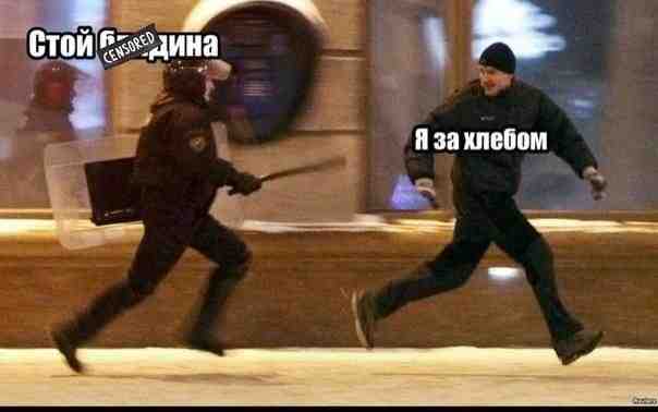 d1hccouwtty.jpg
