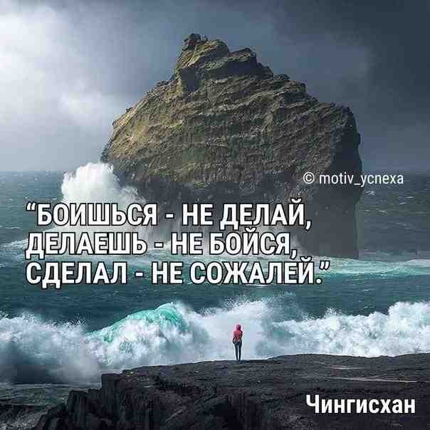 pua3e5zso9e.jpg