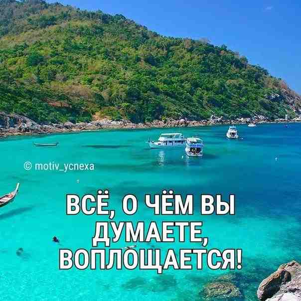 ziknfl9ozua.jpg