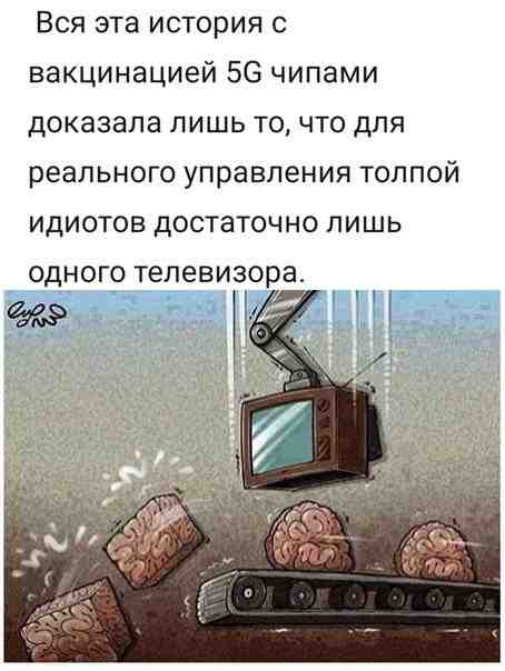 dwy7isqmlo.jpg