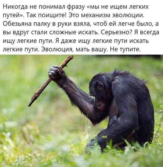 f0y8lspwt6a.jpg
