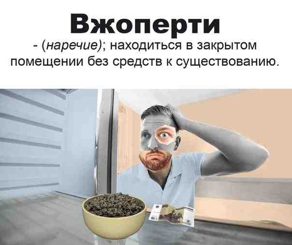 s4ud8blzjr0.jpg