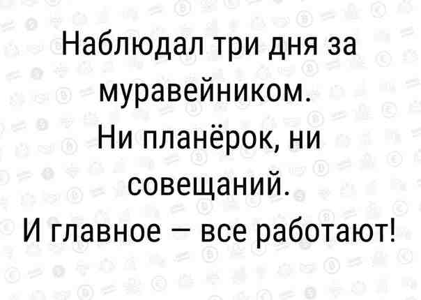 azvepjbxvo0.jpg