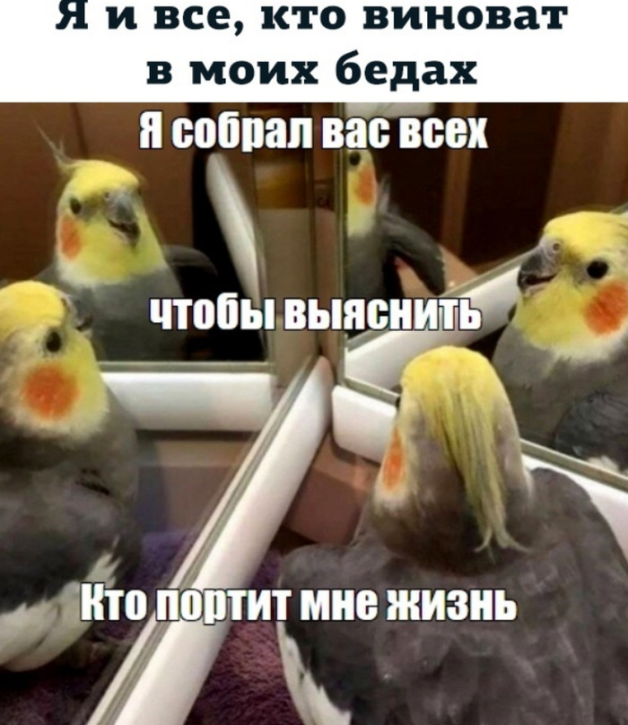 awbmqrzaeclslximwbdg3zr97lsqx-gnhivj5n2gnwmop3o-pgqzunuiknh42ve5pgbazcqyk0josnofrwpikypz.jpg