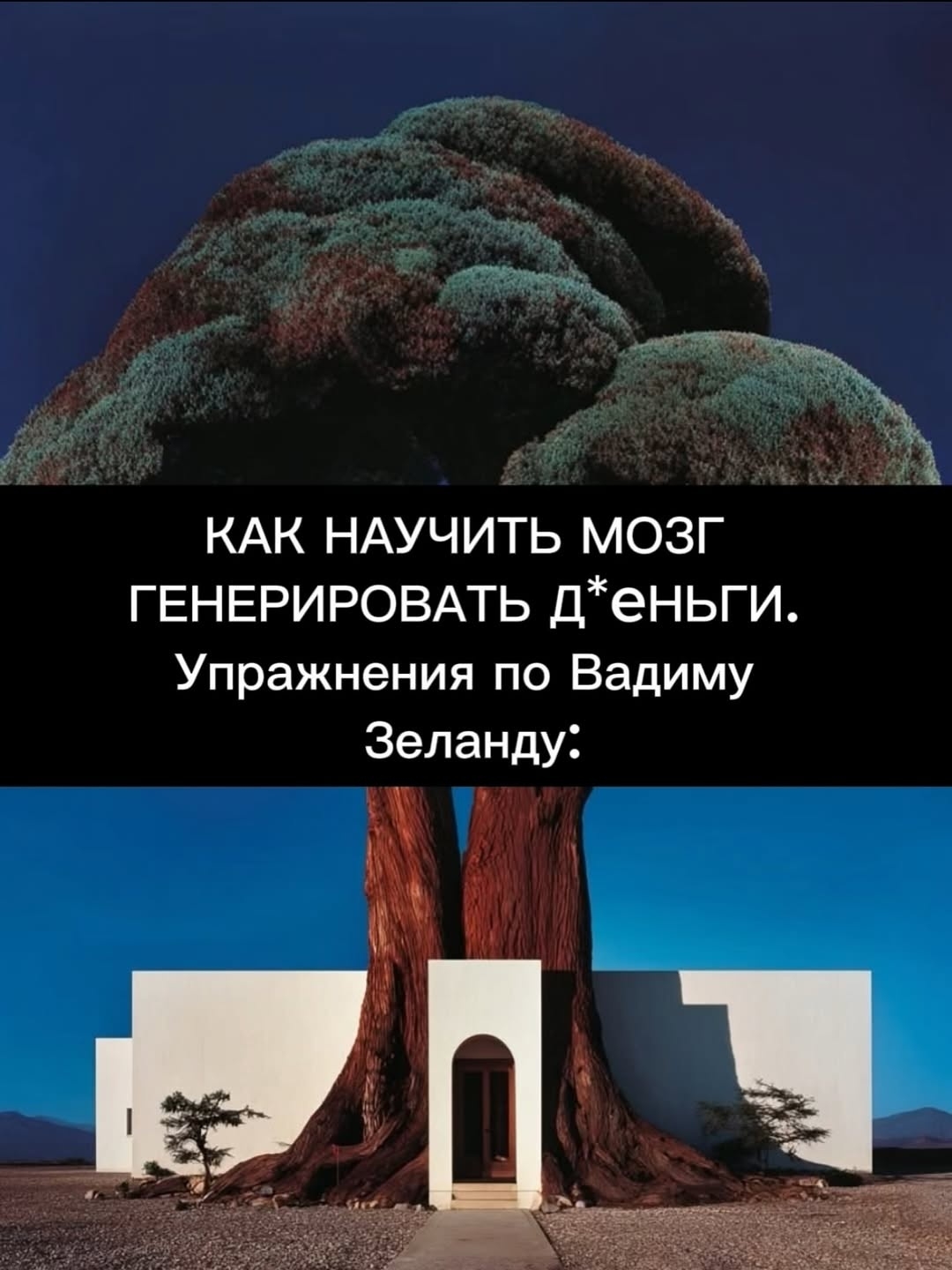 8usc2ddunggndjsc1ybezqemzdxrtt6v4nwfmmahc6ngvx7n8izfokpcswahw54lfcxn3ypq8xzedz8evp5kse_m.jpg