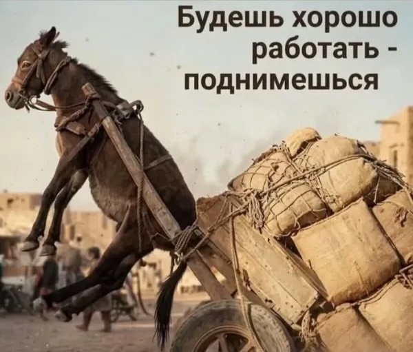 kjq00lpqt0s8av7jp_9zxd5ll6spxbtxcqn9hzkpat2r-cep2pqqjthumgzfblpzaulo_8lun4-55k_tucx91zim.jpg