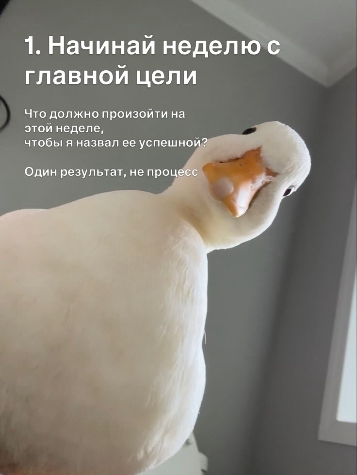 zoax8gtyytn0ijbhmdz6y790tb_gkcx9kri498c9zylbd5r4tbd4x59gvenhyaoovto7pau-amdp8-ufksub1dig.jpg